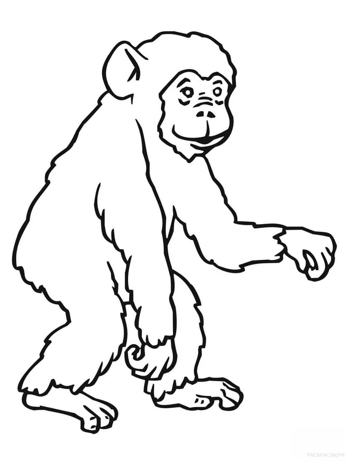 Chimpanzee coloring page