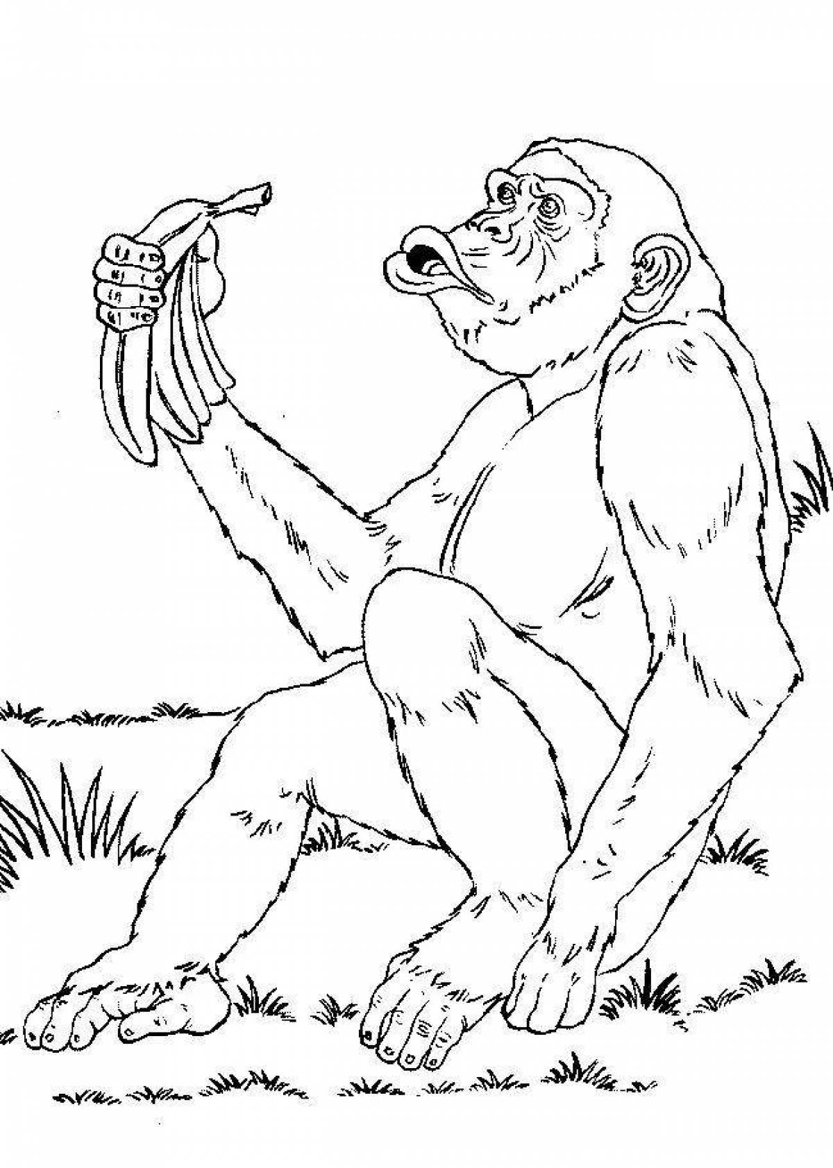 Exotic chimpanzee coloring page
