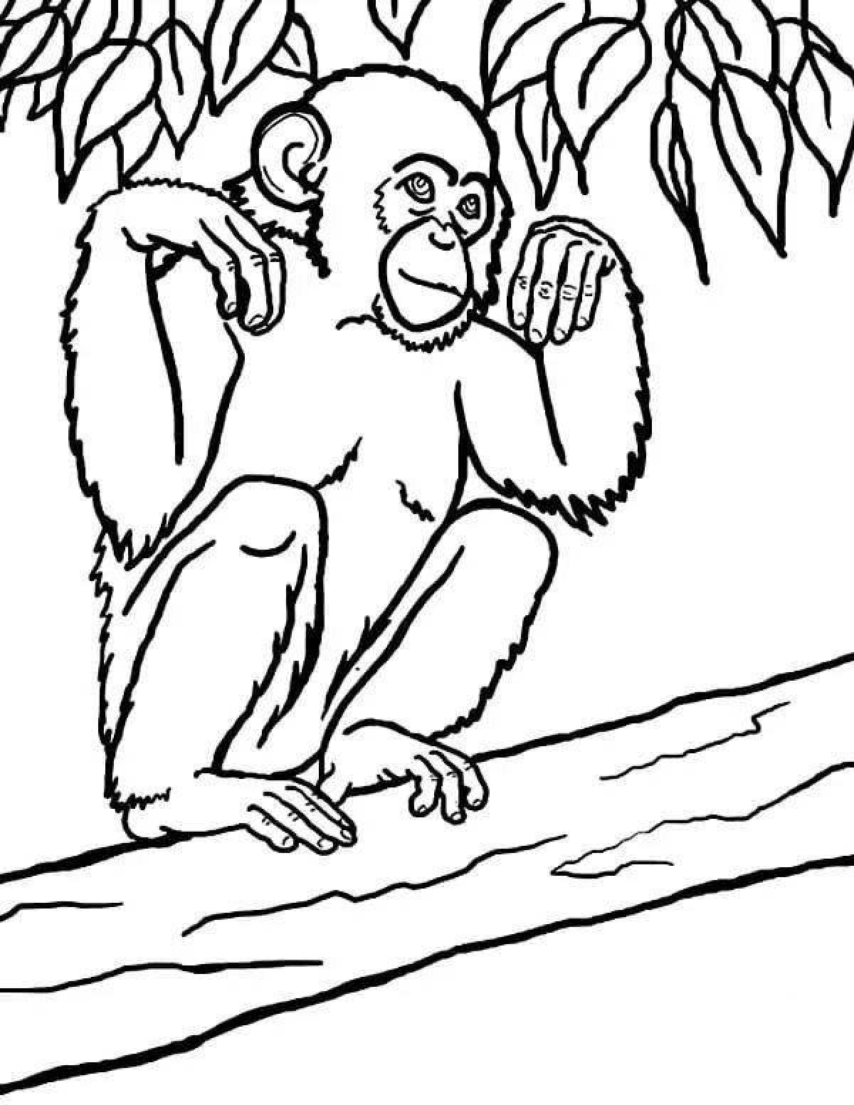 Раскраска сияющий шимпанзе
