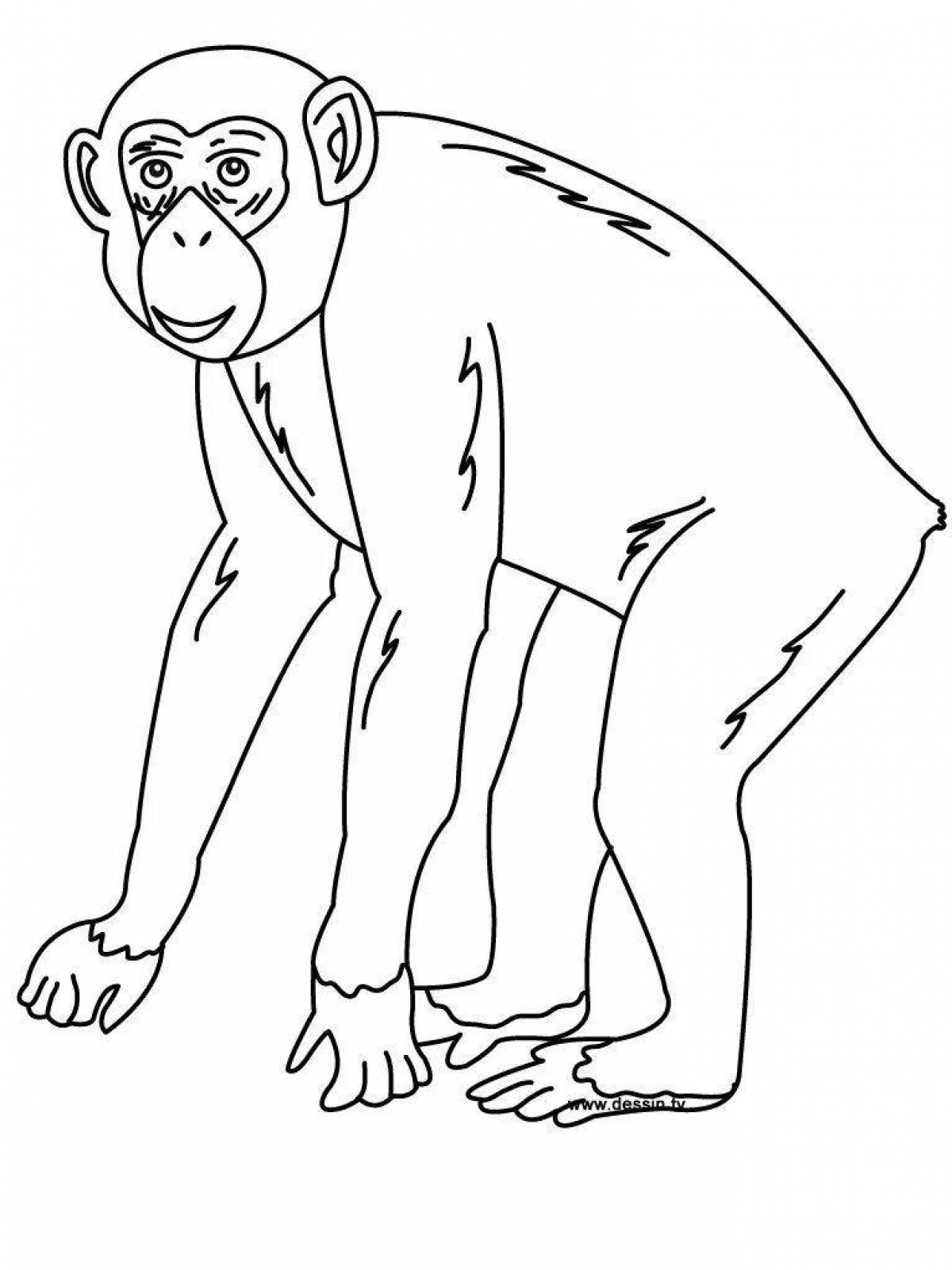 Regal chimpanzee coloring page