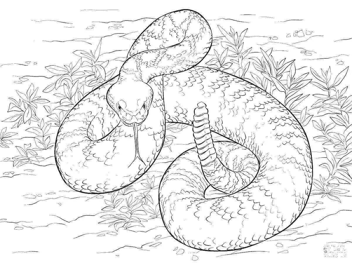 Exotic anaconda coloring page