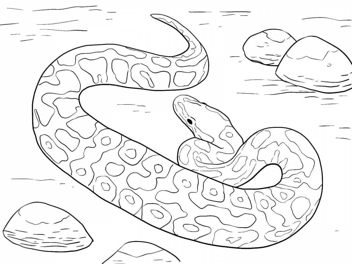 Coloring playful anaconda