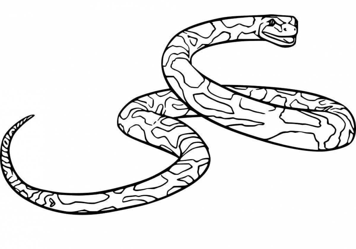 Coloring page joyful anaconda