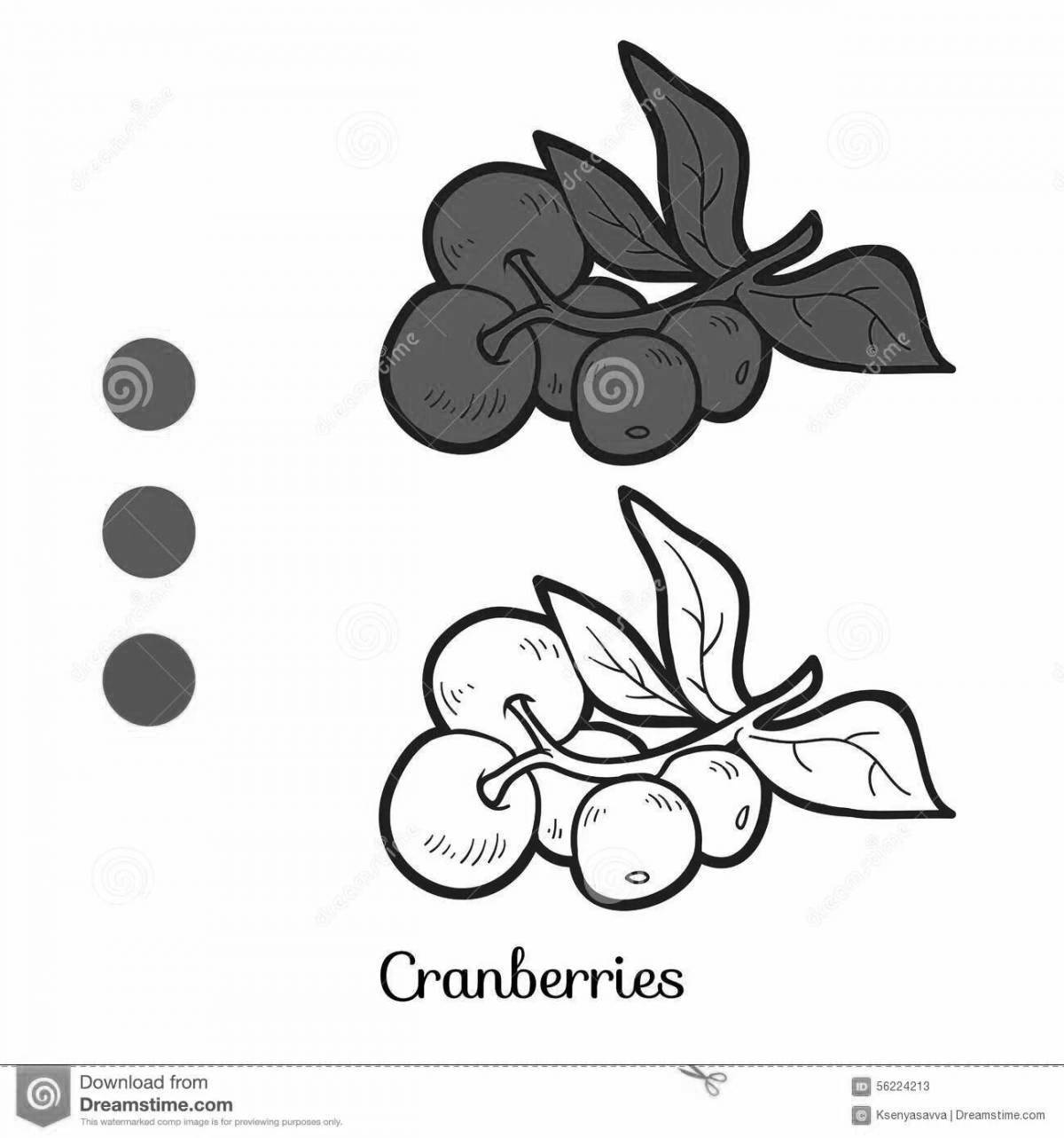 Luminous coloring cranberry