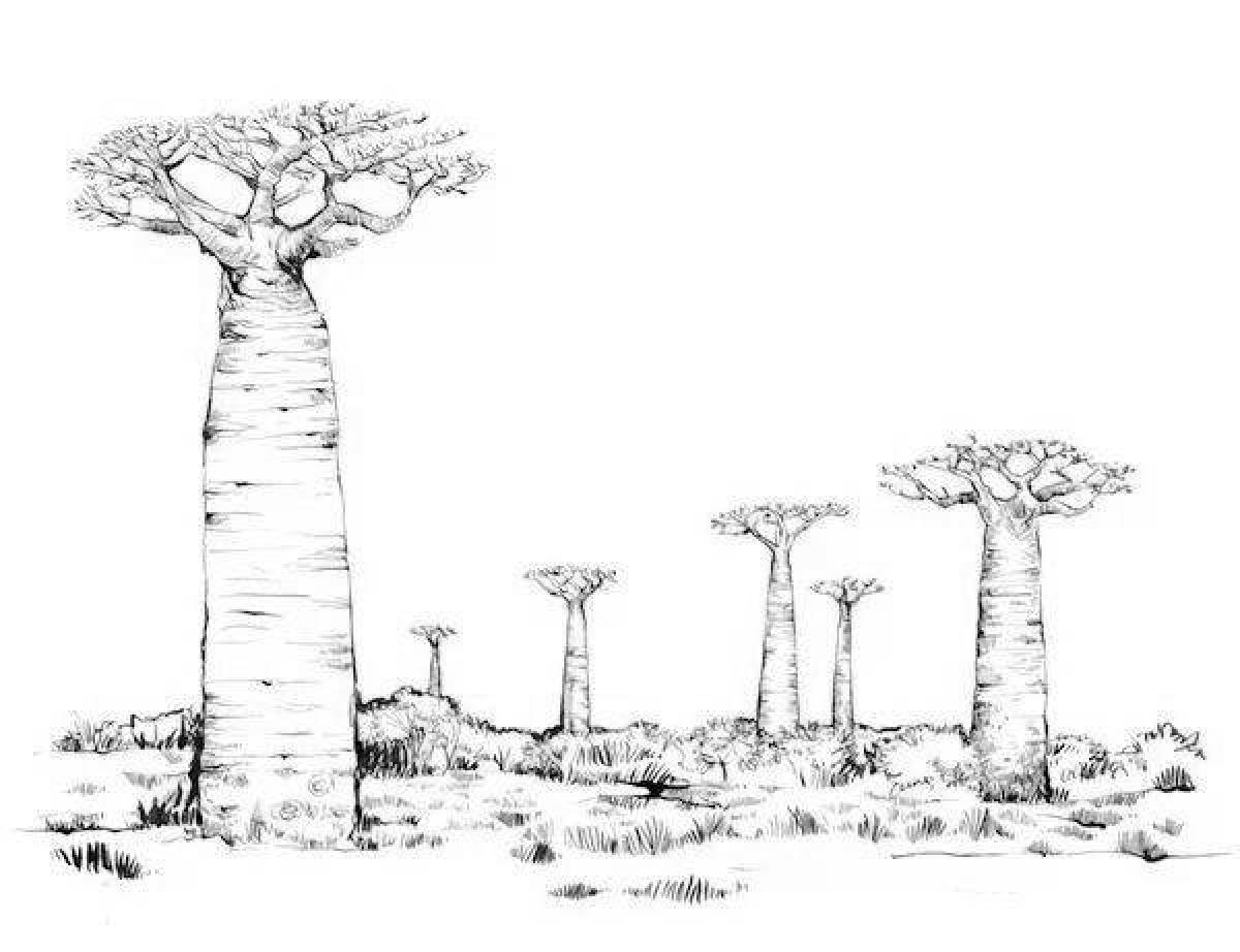 Coloring page elegant baobab