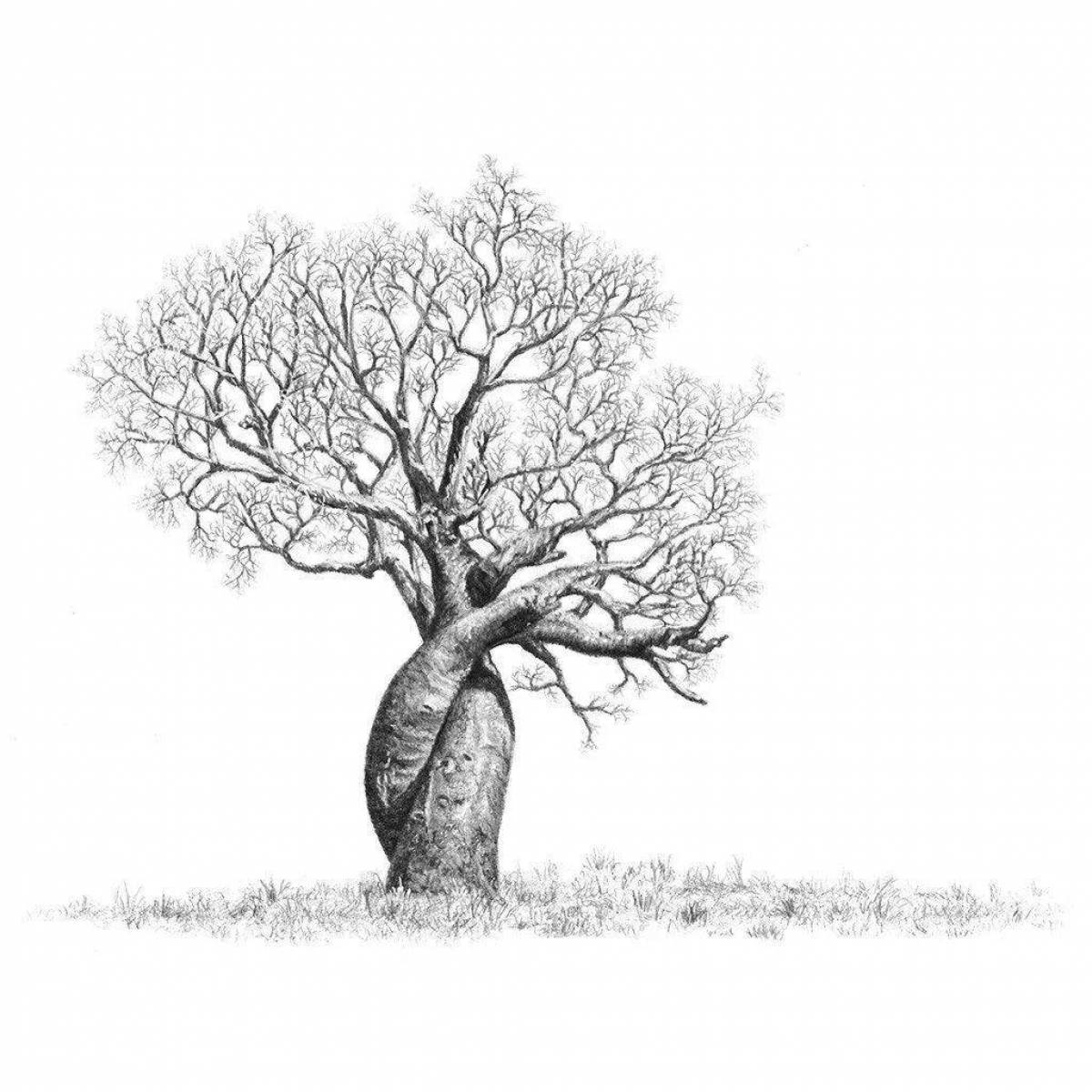 Fancy baobab coloring page