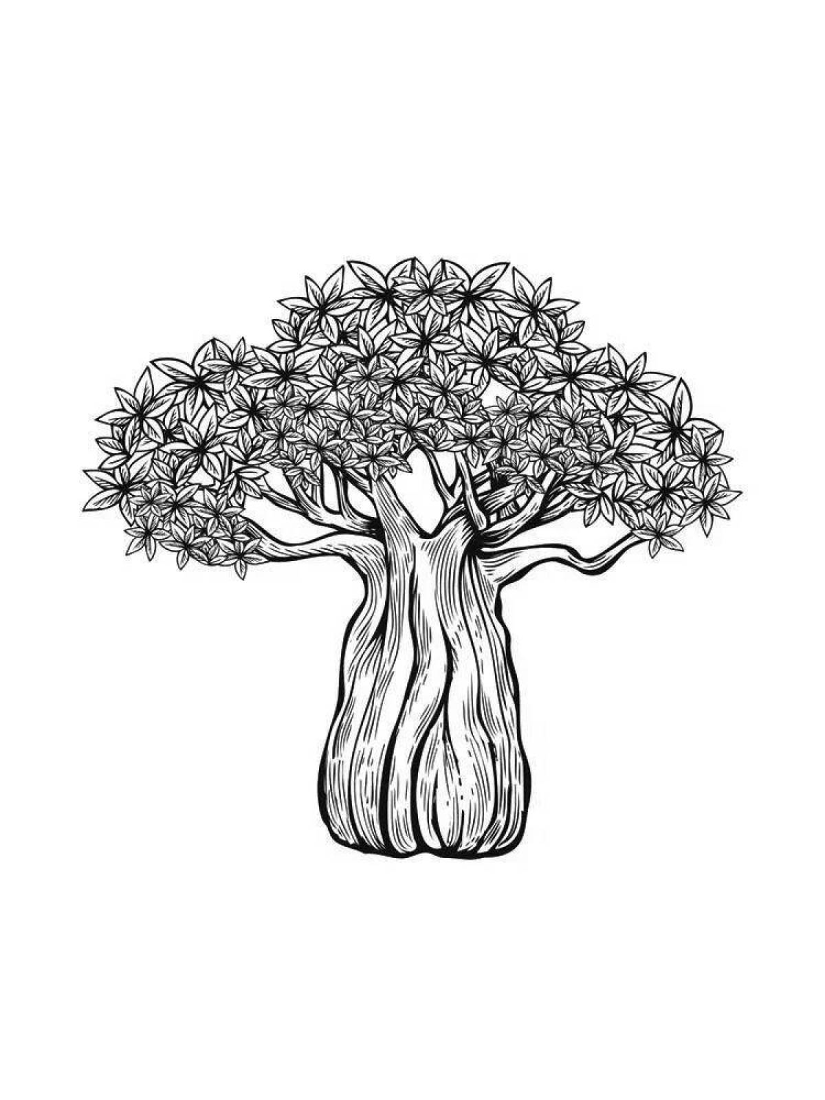 Baobab #3