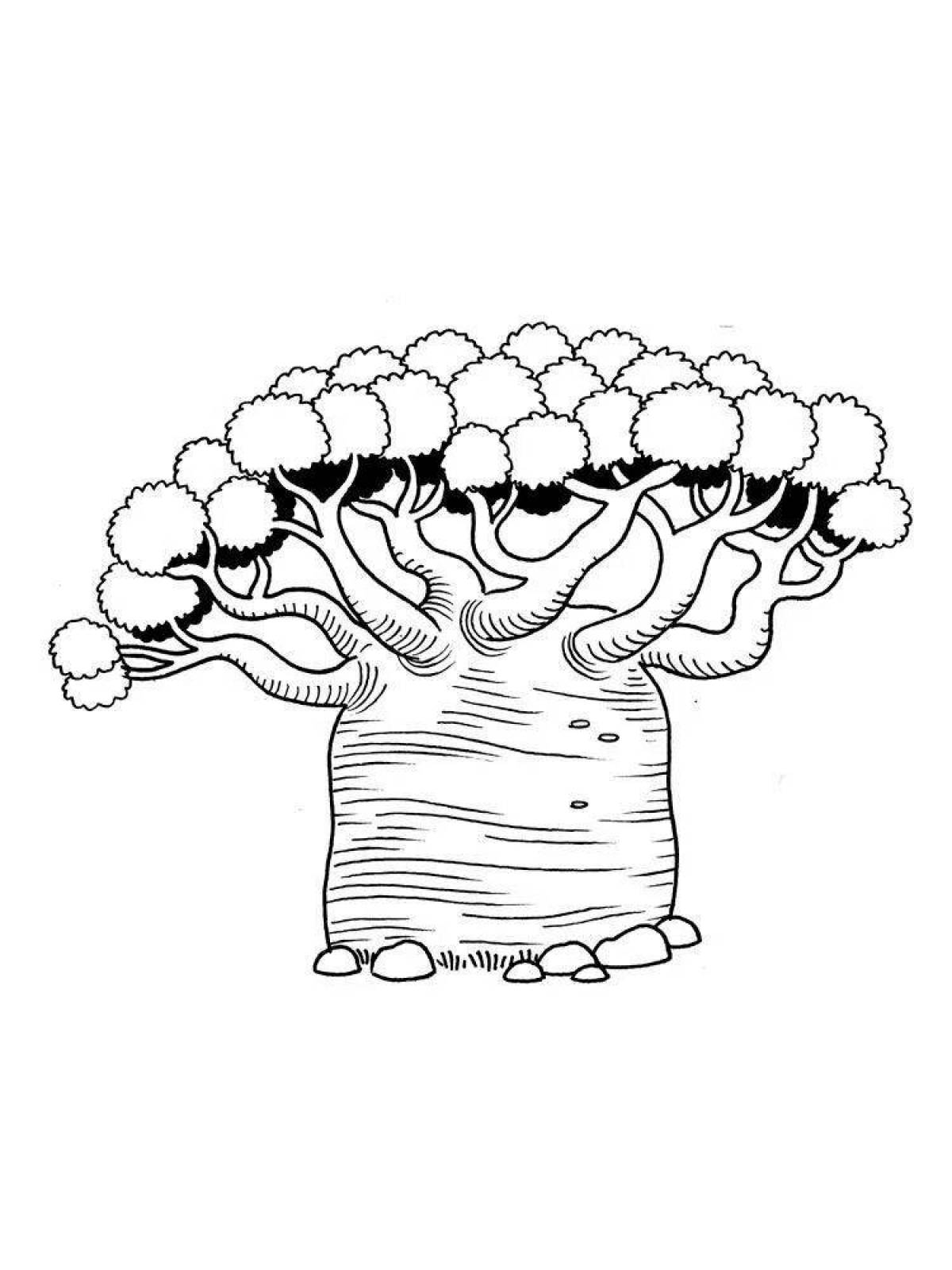 Baobab #4