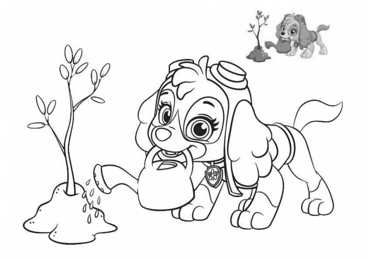 Live coloring puppy Skye