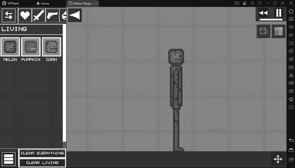 Playground fun melon