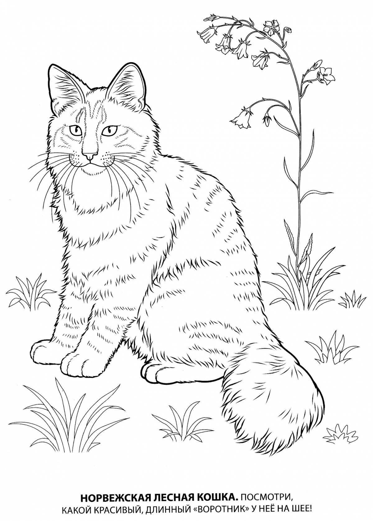 Coloring page adorable kitten cat