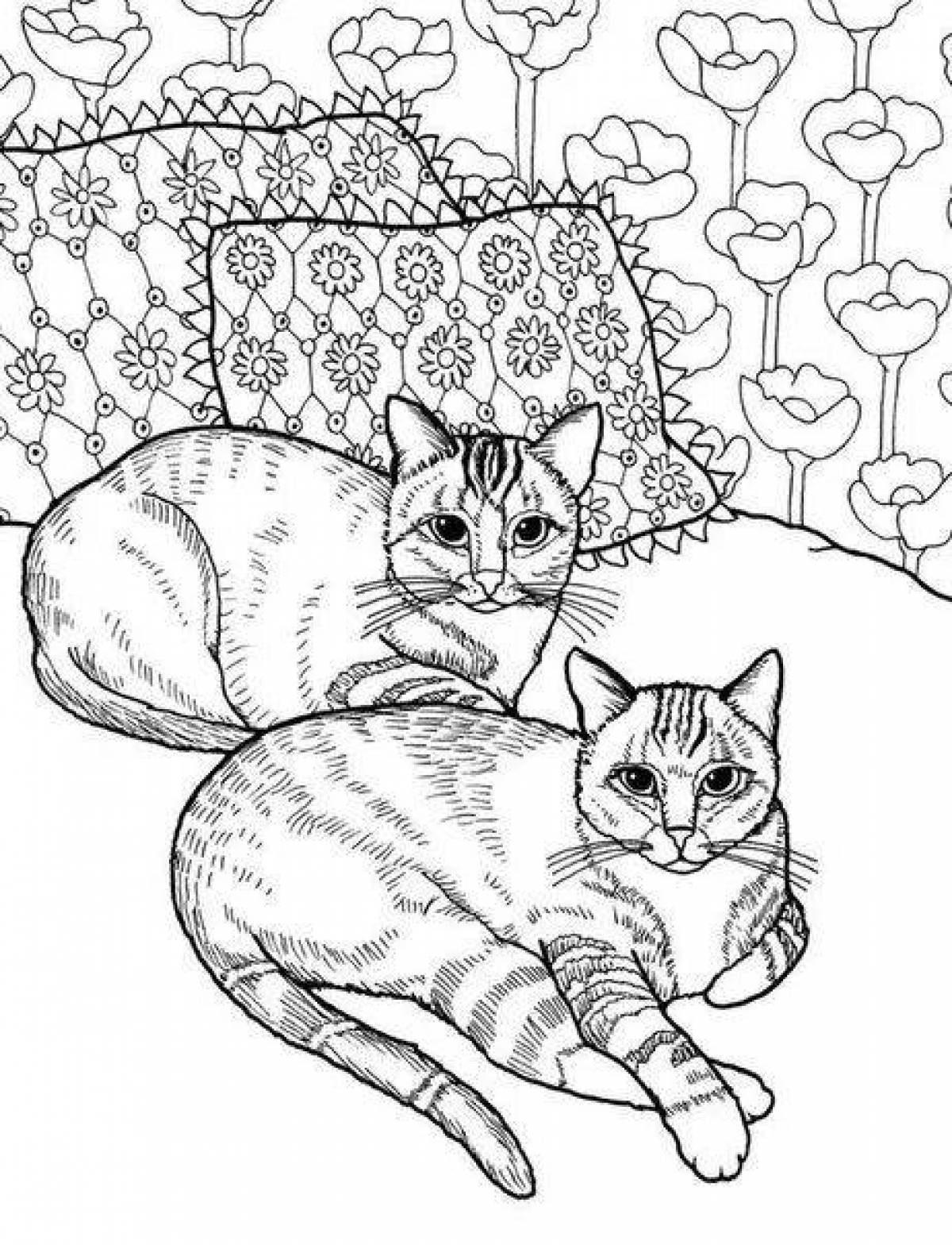 Coloring page cozy kitten cat