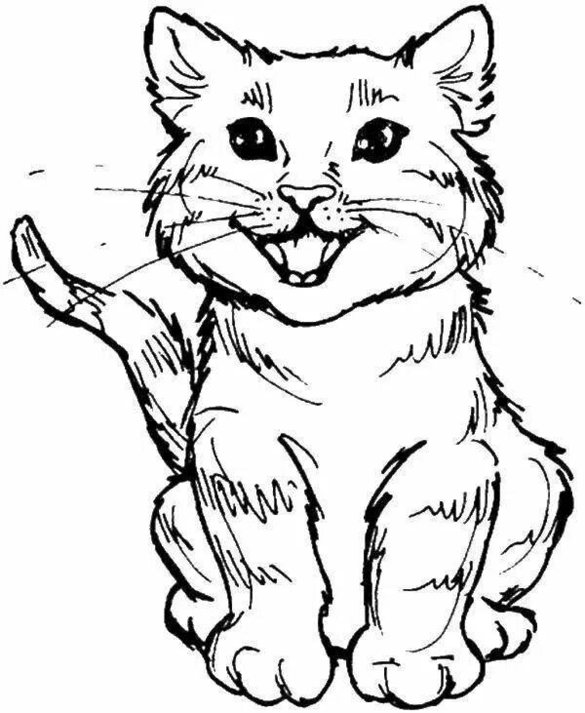 Charming kitten cat coloring book