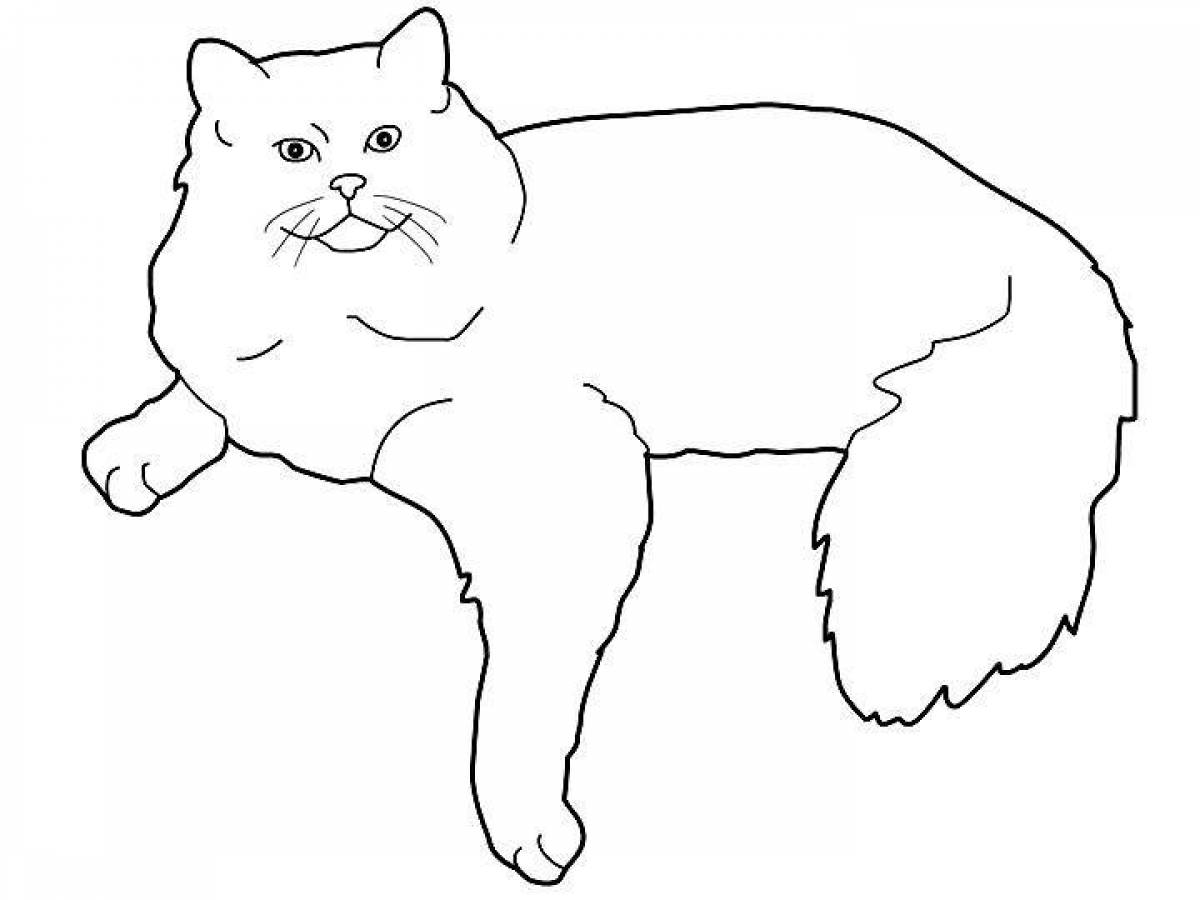 Coloring page funny british cat