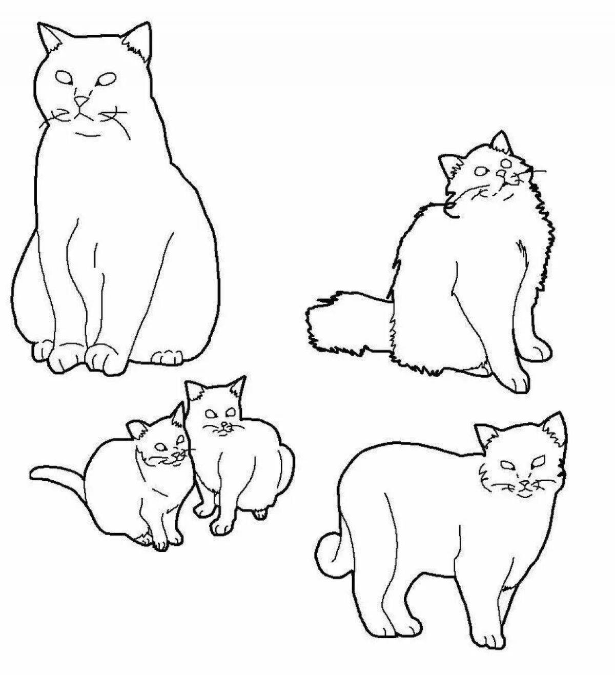 Fancy British cat coloring page