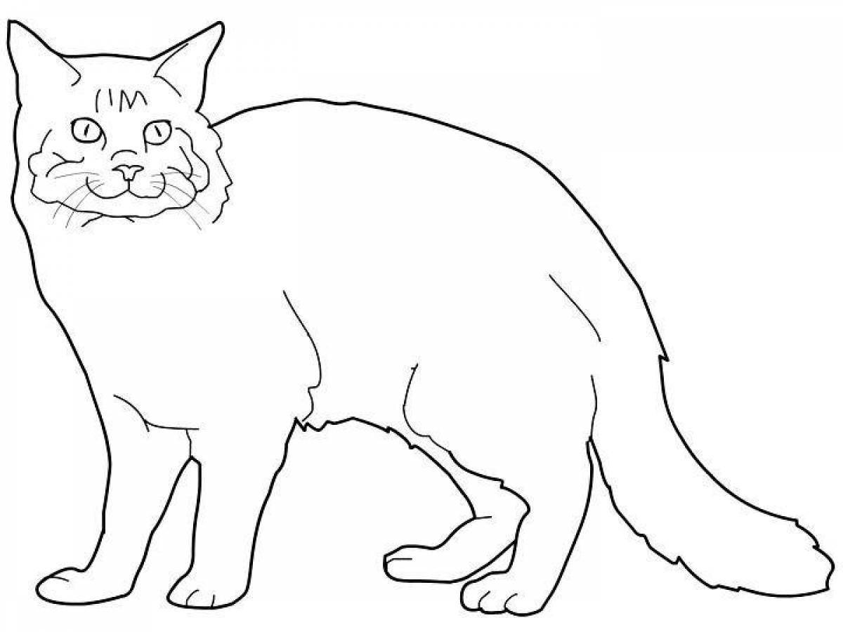 Naughty british cat coloring page