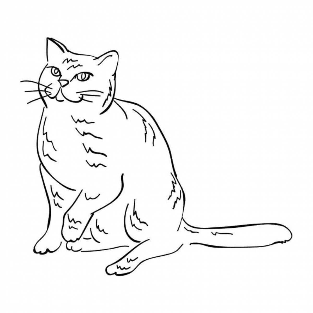Adorable British cat coloring page