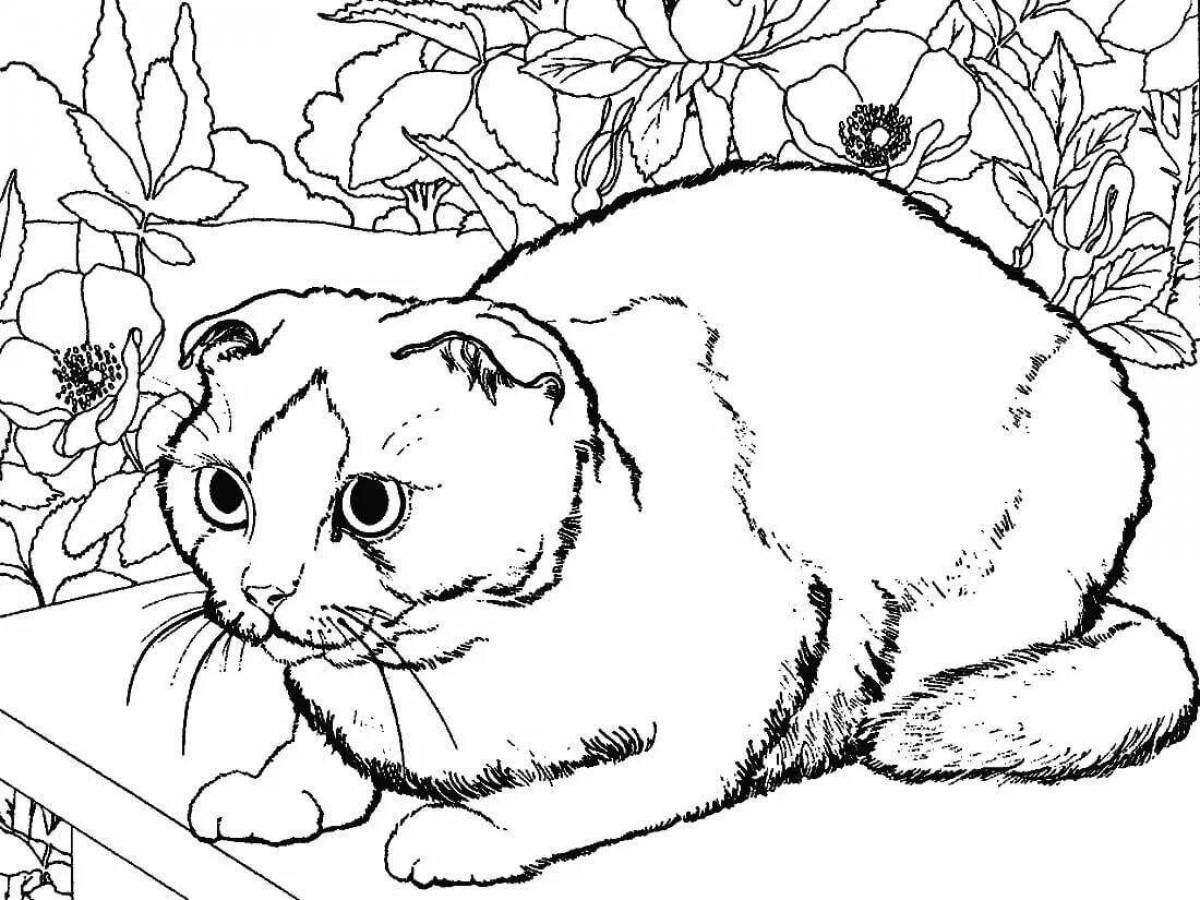Cunning British cat coloring page