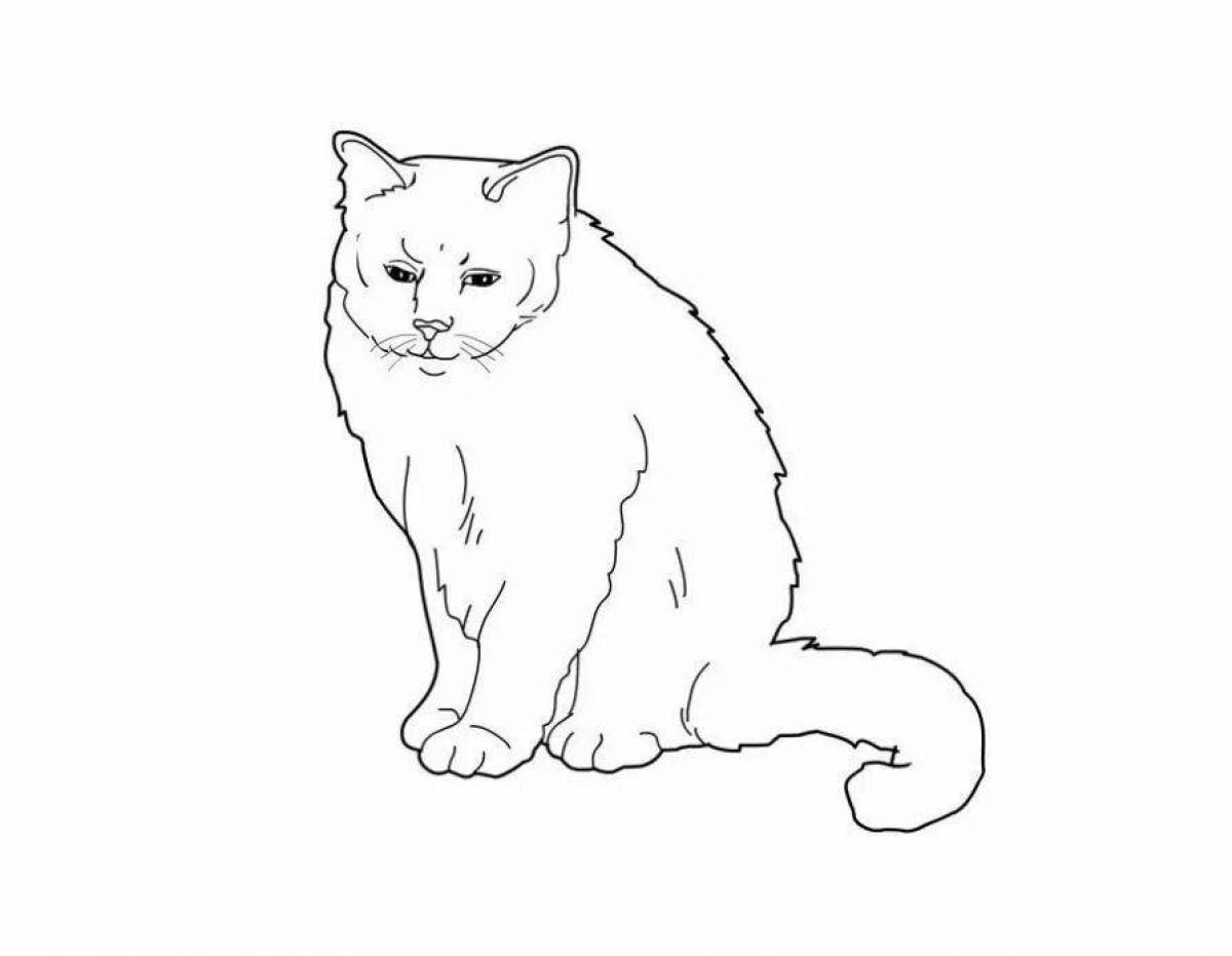 Live british cat coloring book