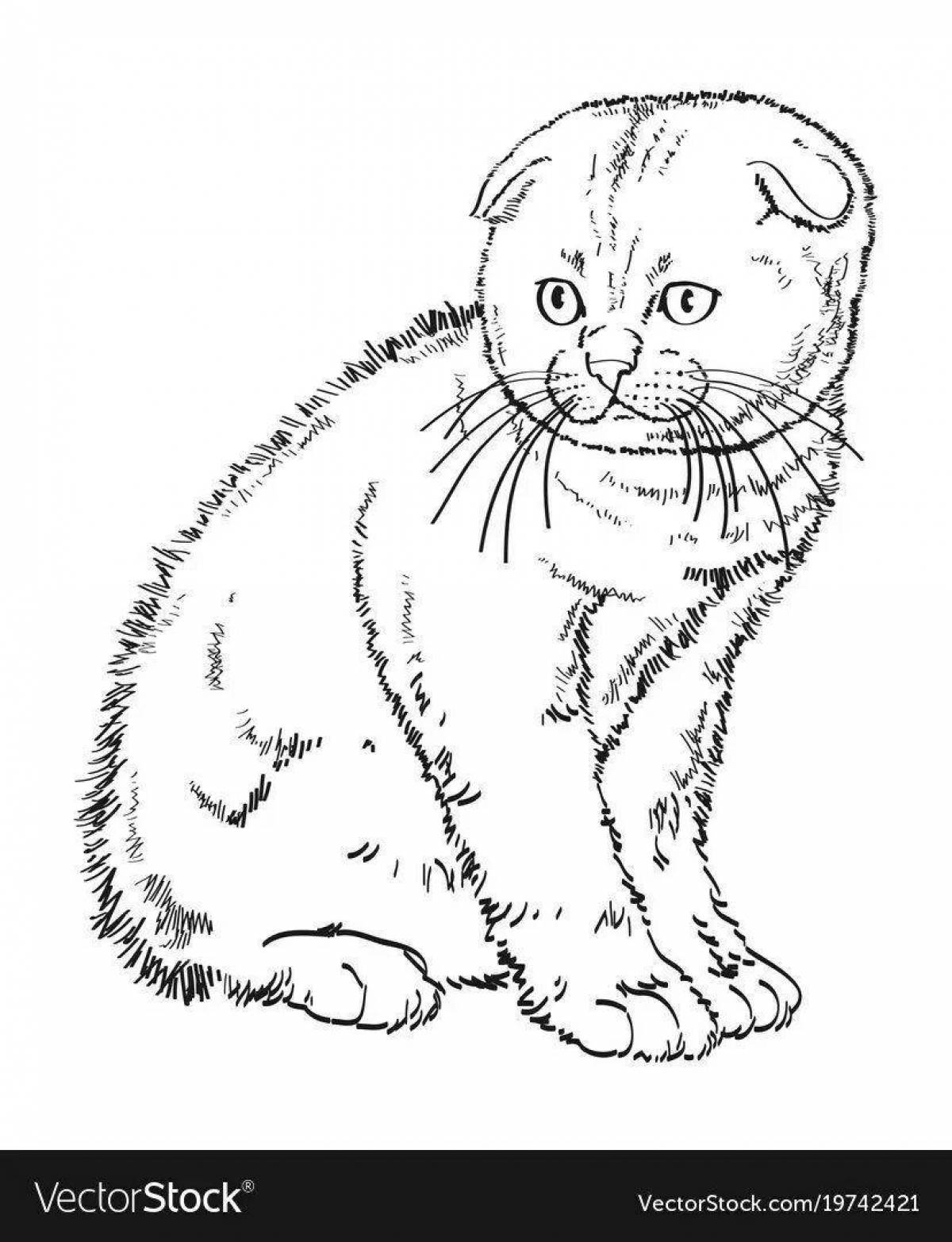 Coloring book witty british cat