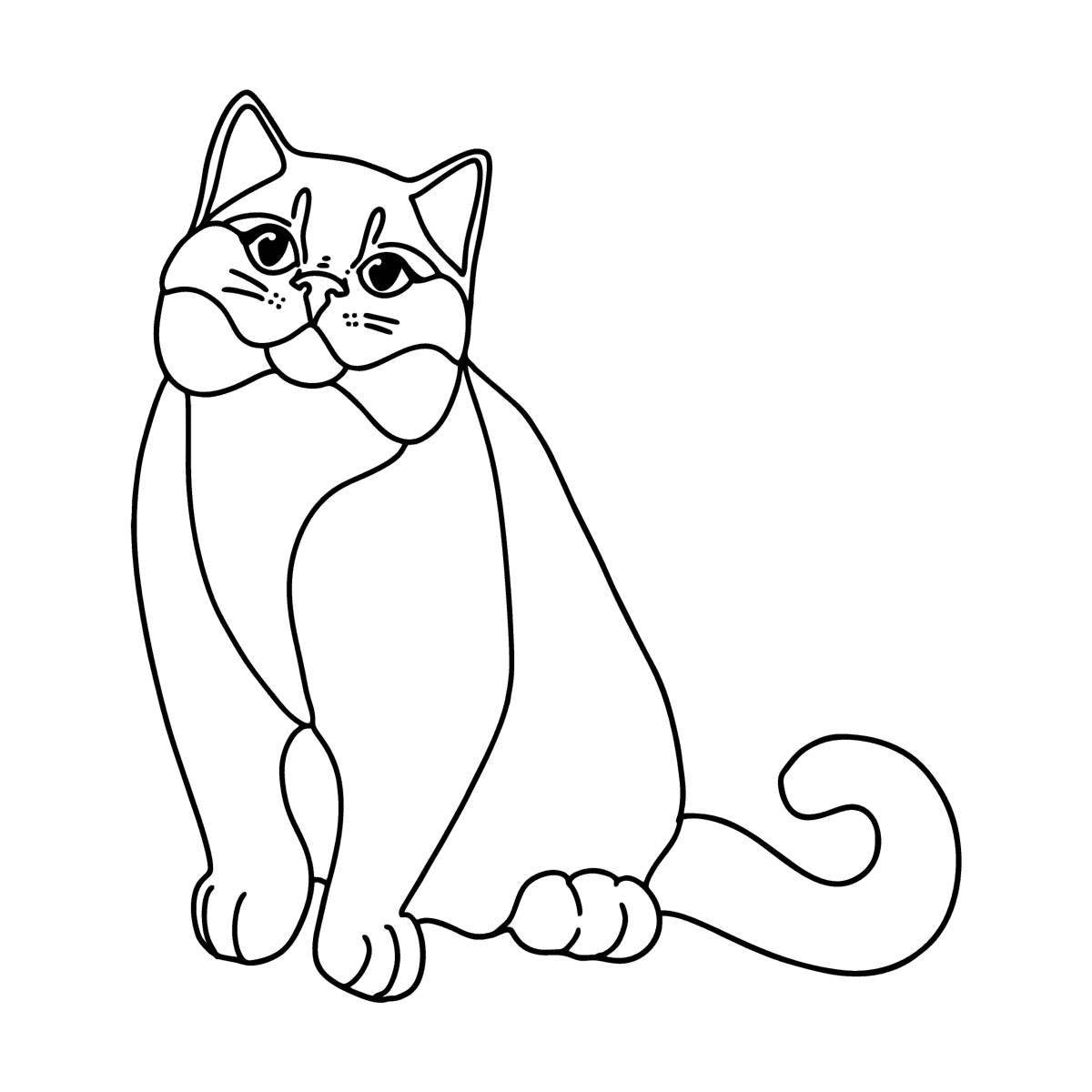 Coloring page gorgeous british cat