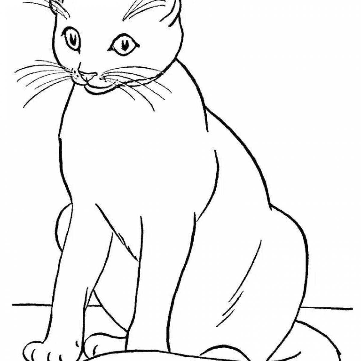 Coloring book elegant british cat