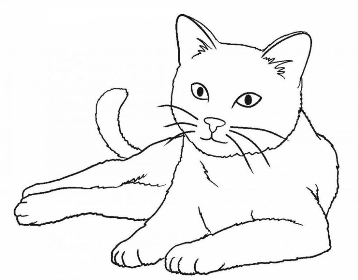 Coloring book bright british cat