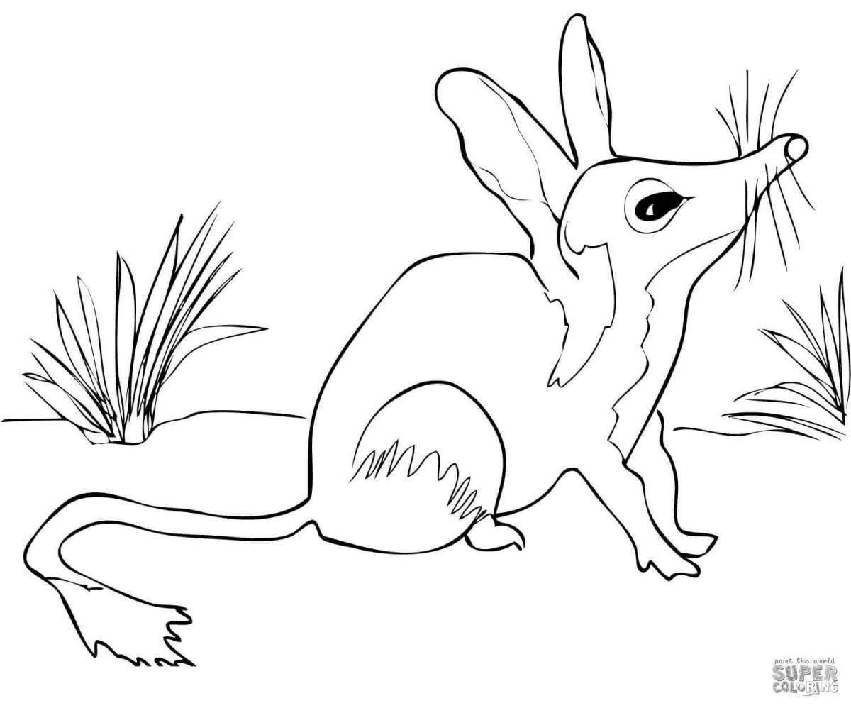 Gorgeous bandicoot coloring page