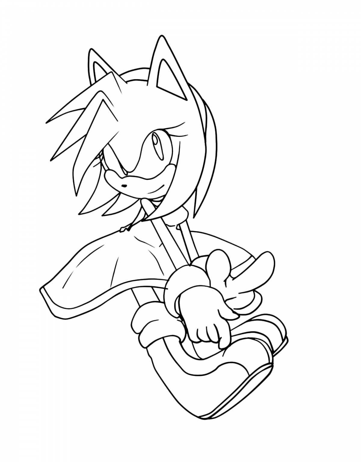 Colorful sonic amy coloring book