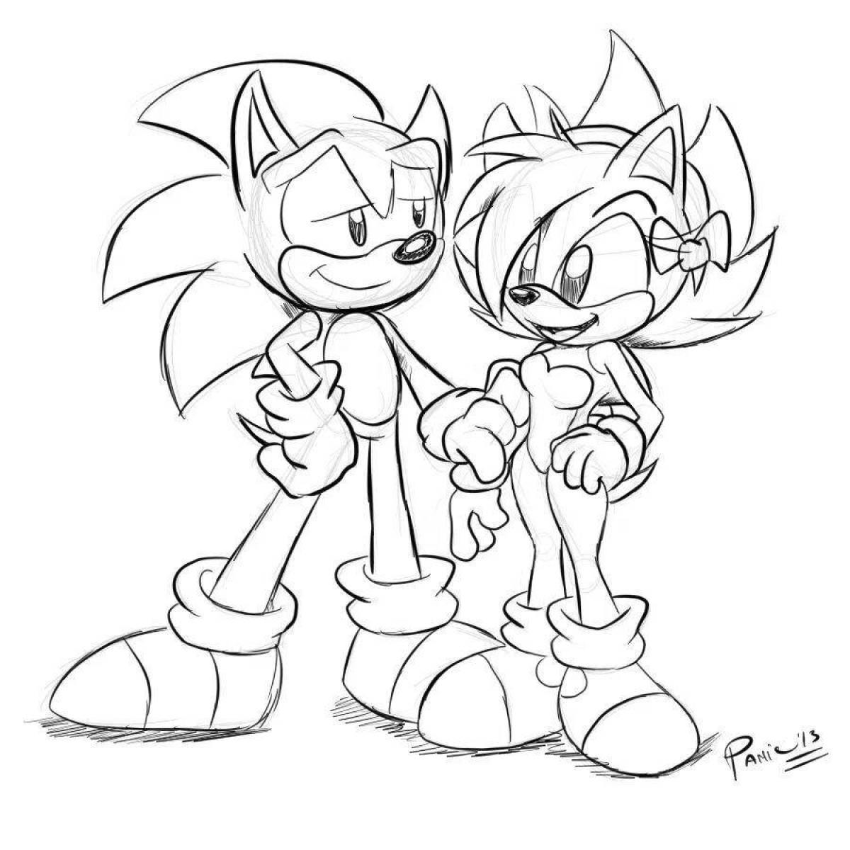 Sonic amy's beautiful coloring book