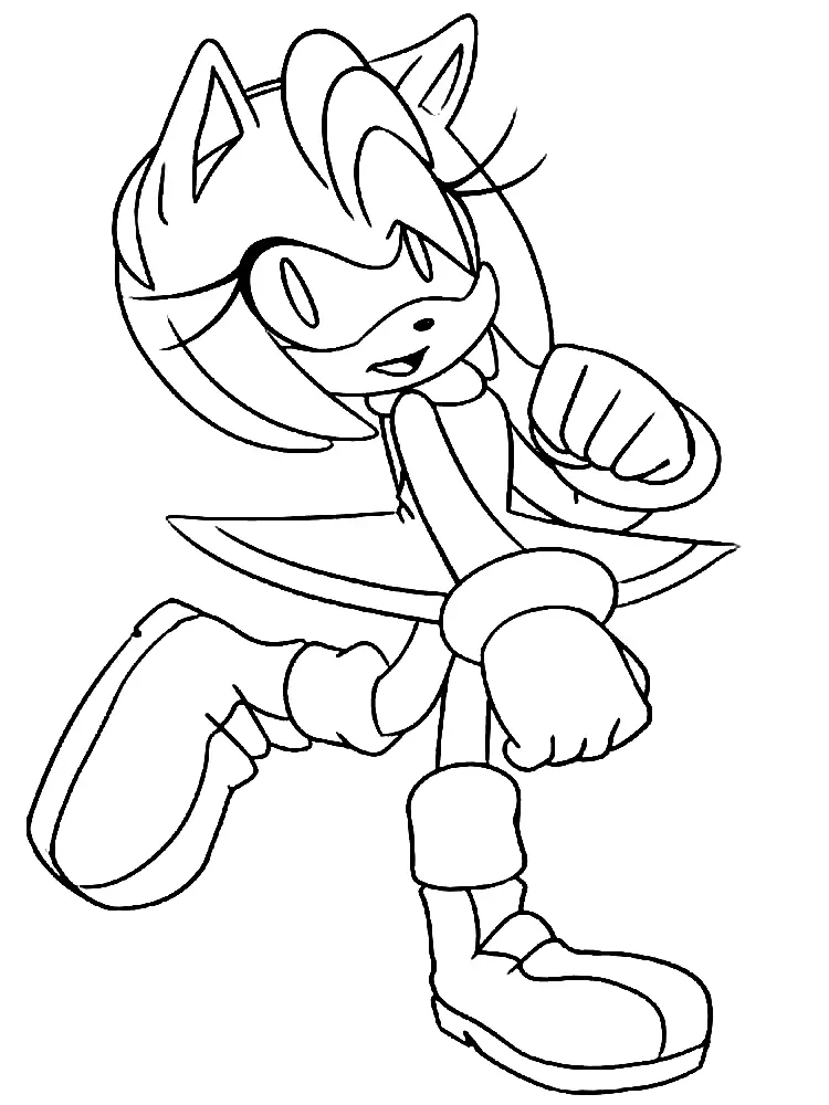 Sonic Amy's innovative coloring