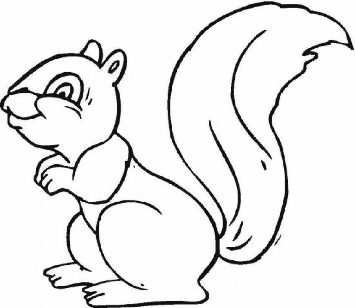 Nimble squirrel coloring book