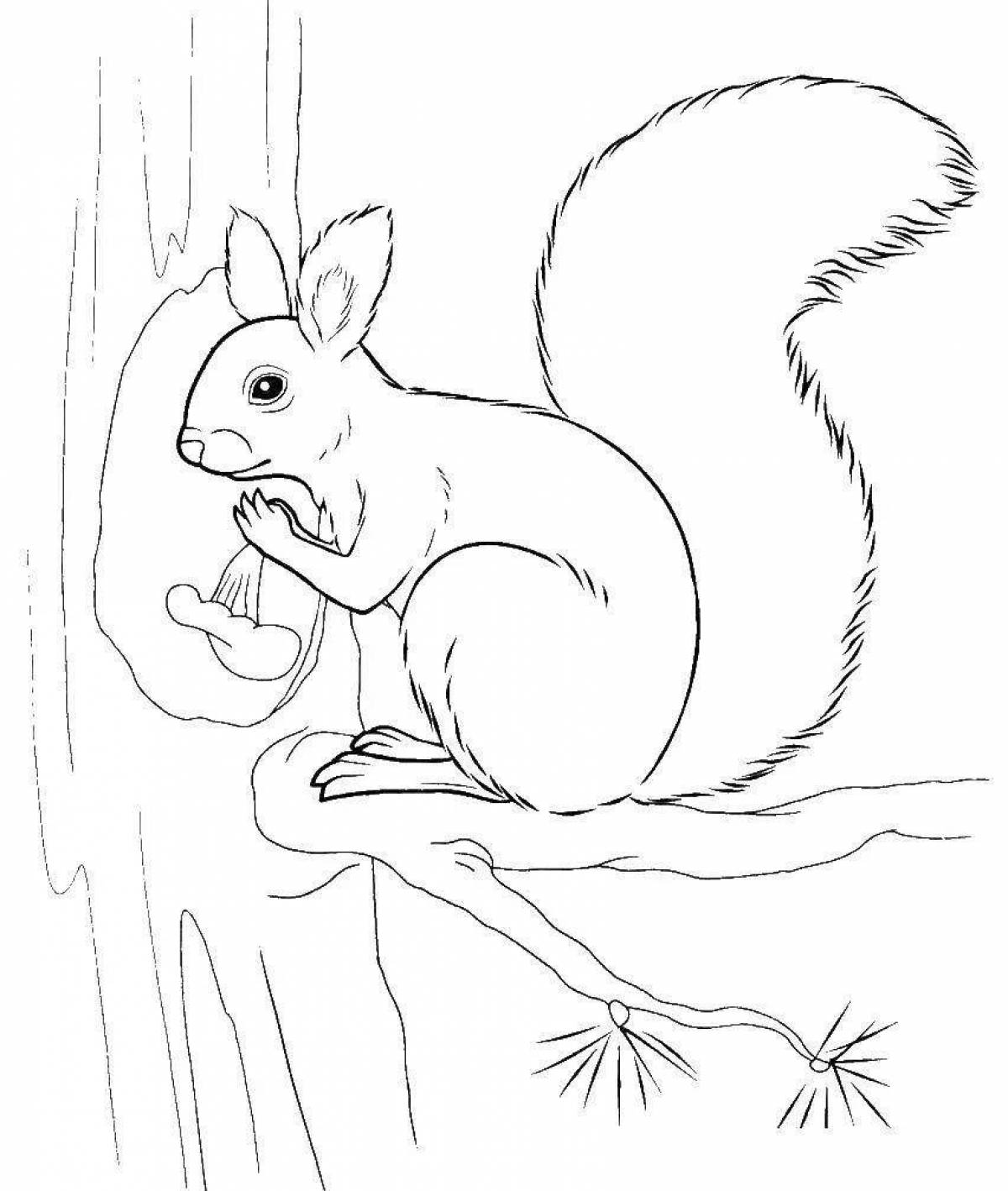 Cunning squirrel coloring page