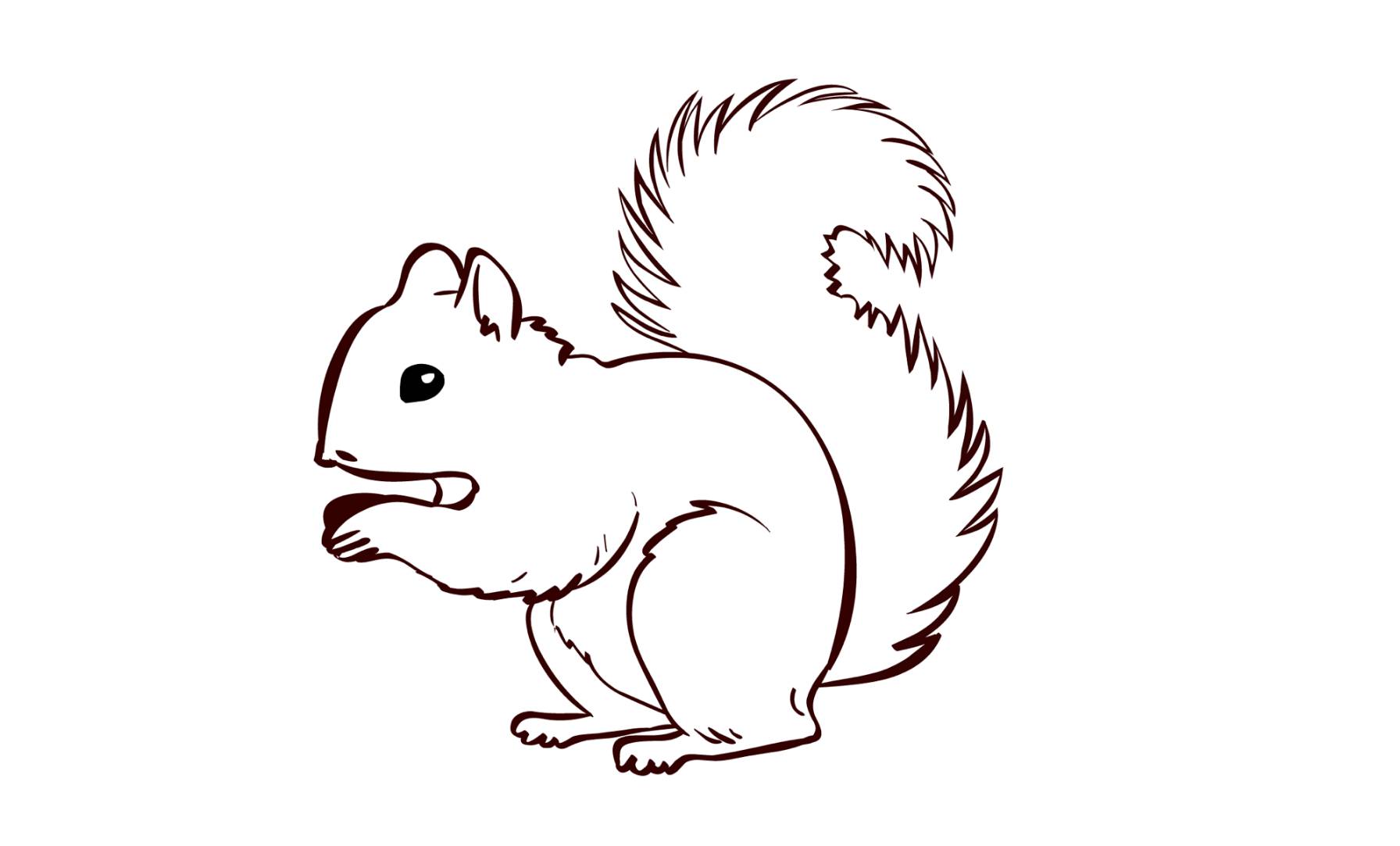 Brave squirrel coloring page