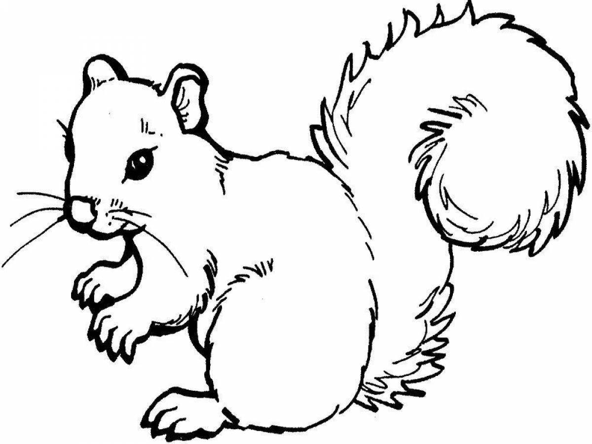 Coloring page energetic squirrel