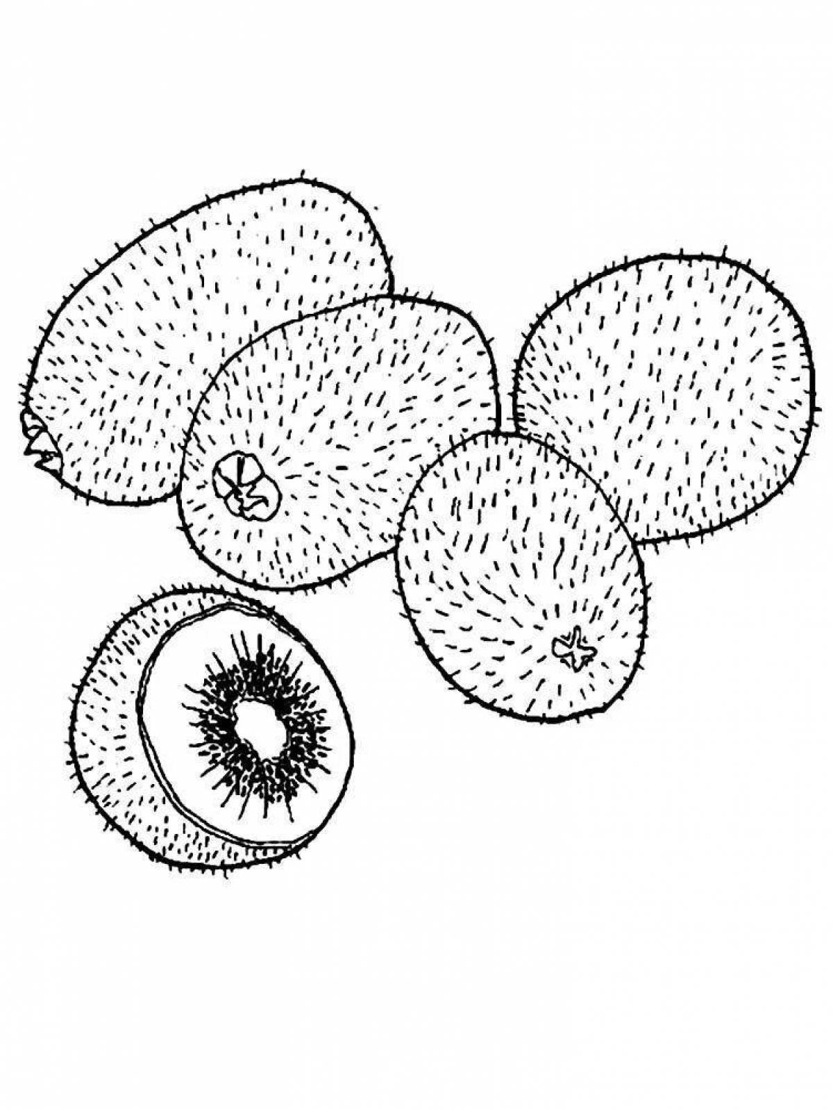 Adorable kiwi coloring book for kids