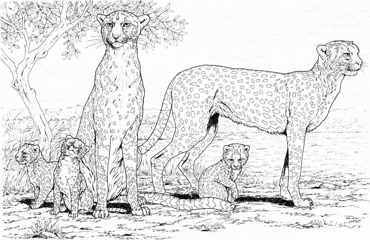 Красочная раскраска гепард для детей