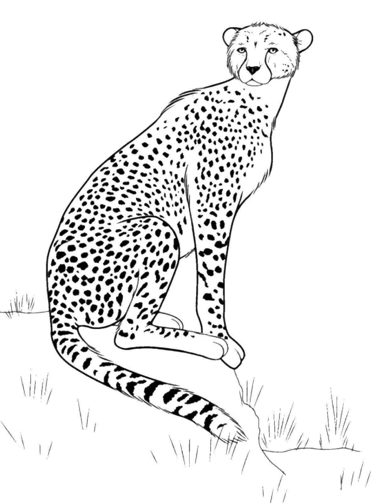 Coloring page happy cheetah for kids