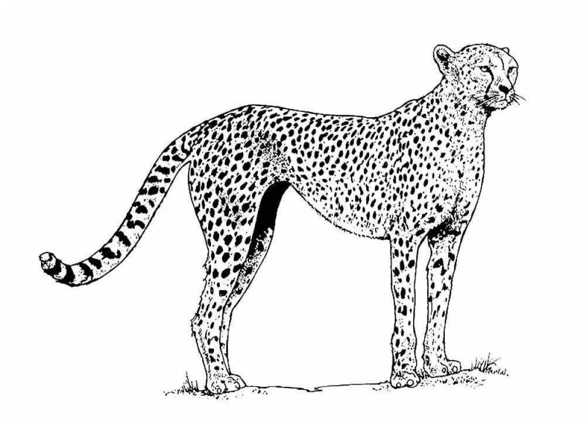 Поразительная страница раскраски гепарда для детей