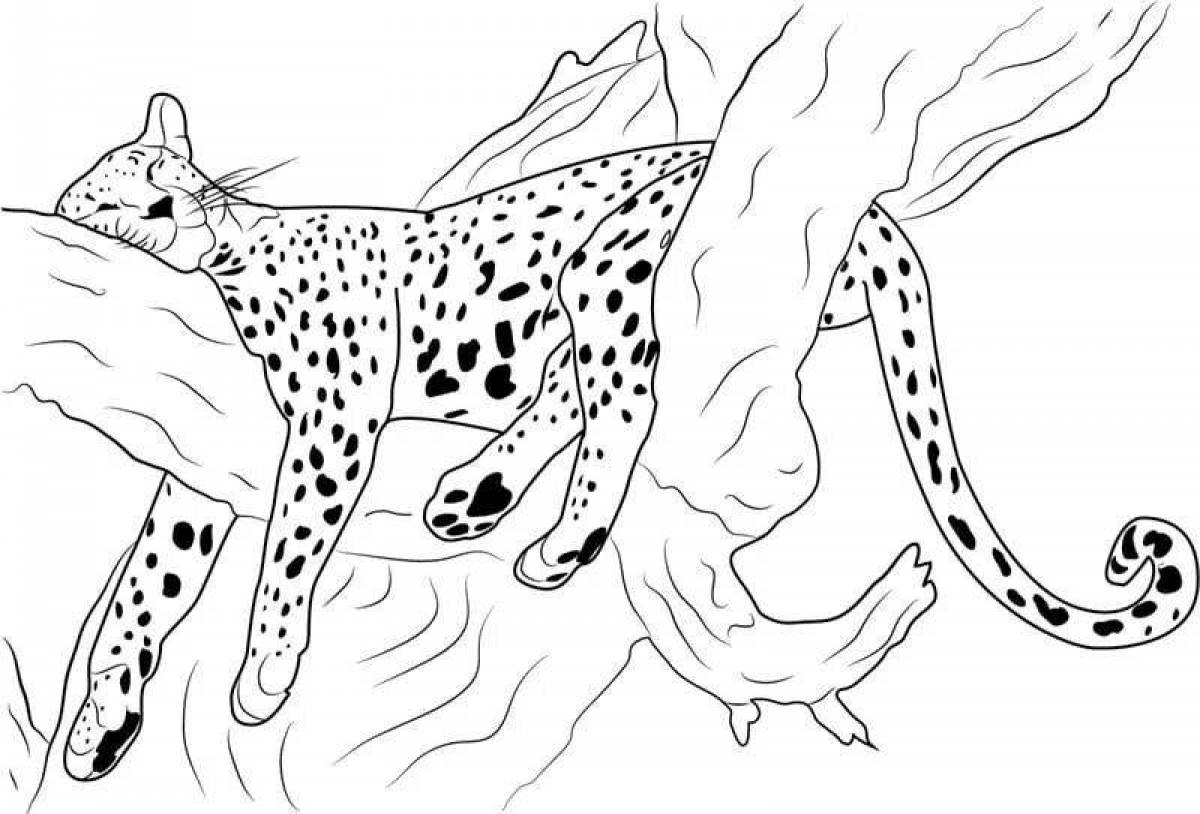 Adorable cheetah coloring book for kids