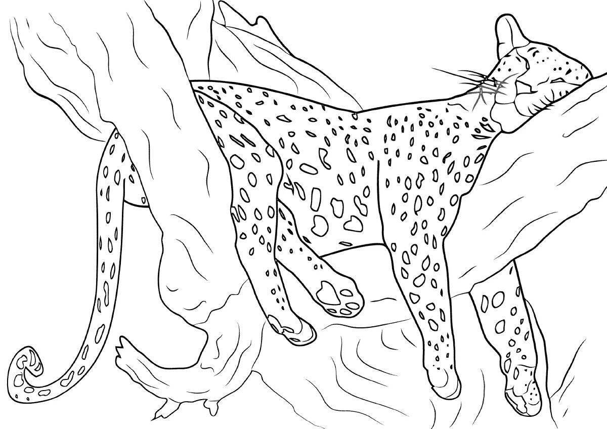 Attractive cheetah coloring book for kids