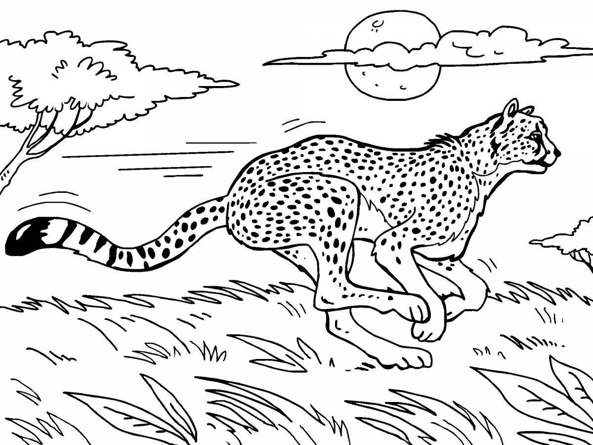 Great cheetah coloring book for kids