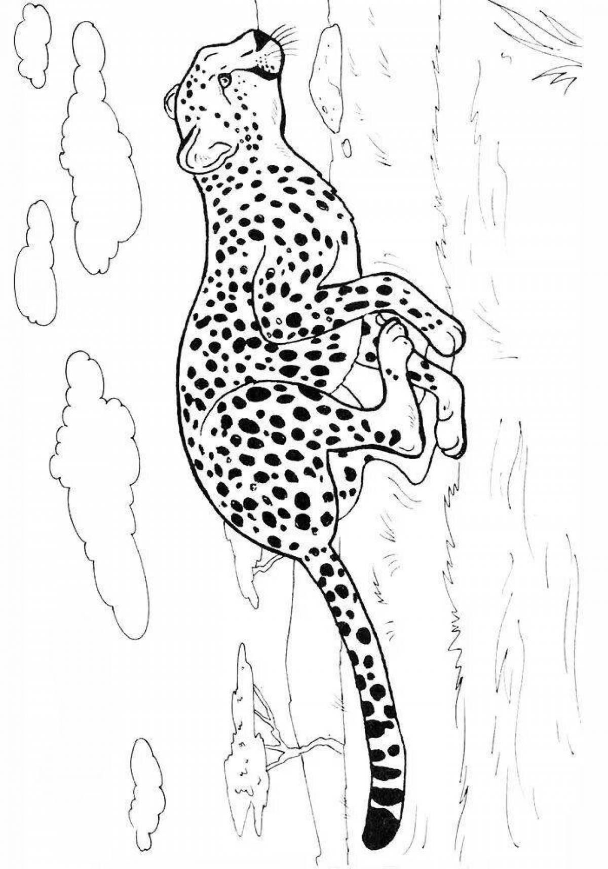Изысканная раскраска гепард для детей
