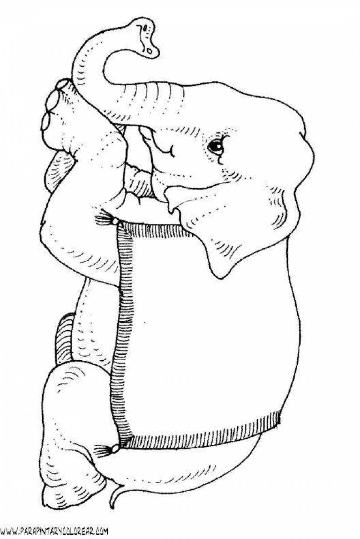 Картина по номерам Поп-арт девушка и слон
