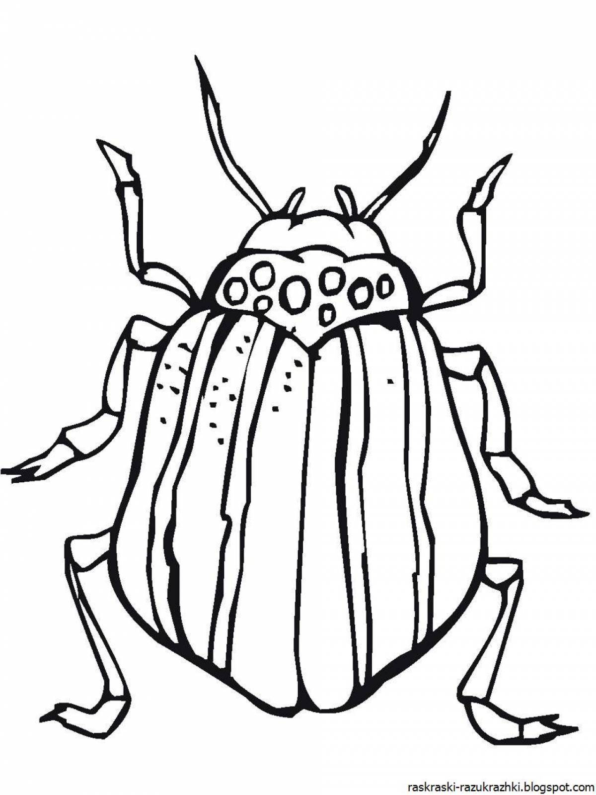 Майский хрущ рисунок