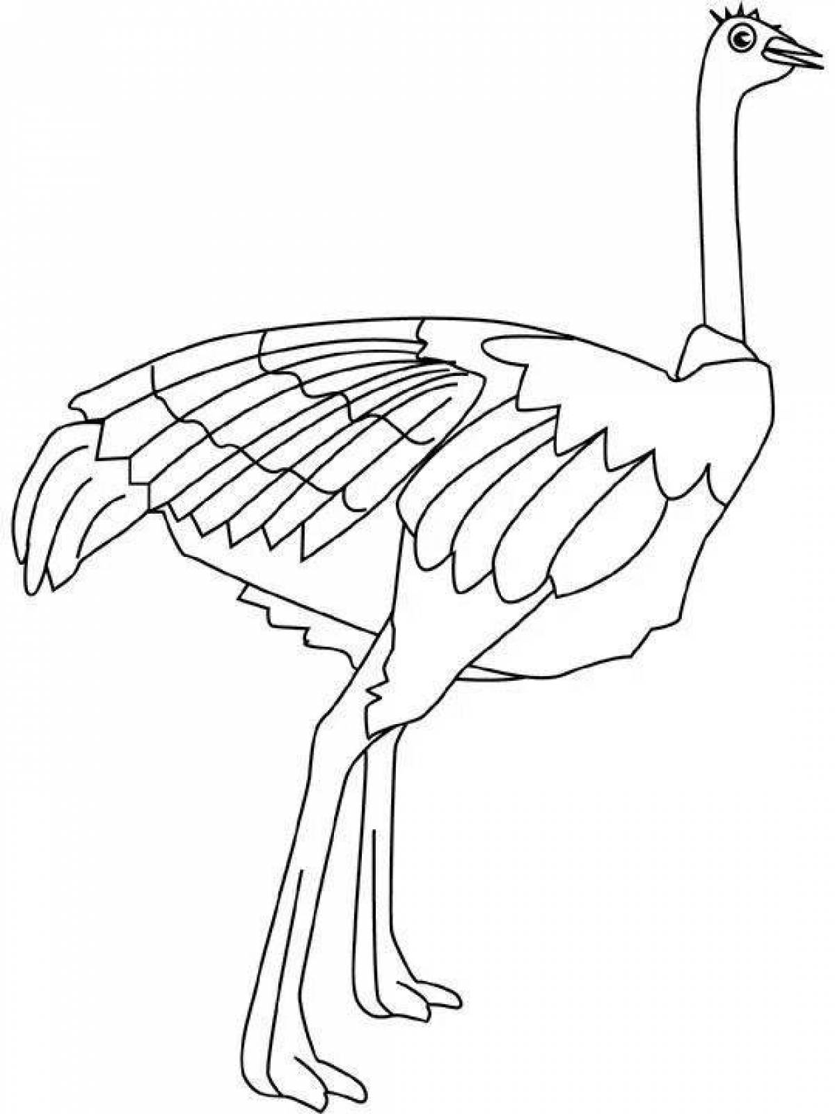 Птица Дрофа раскраска для детей