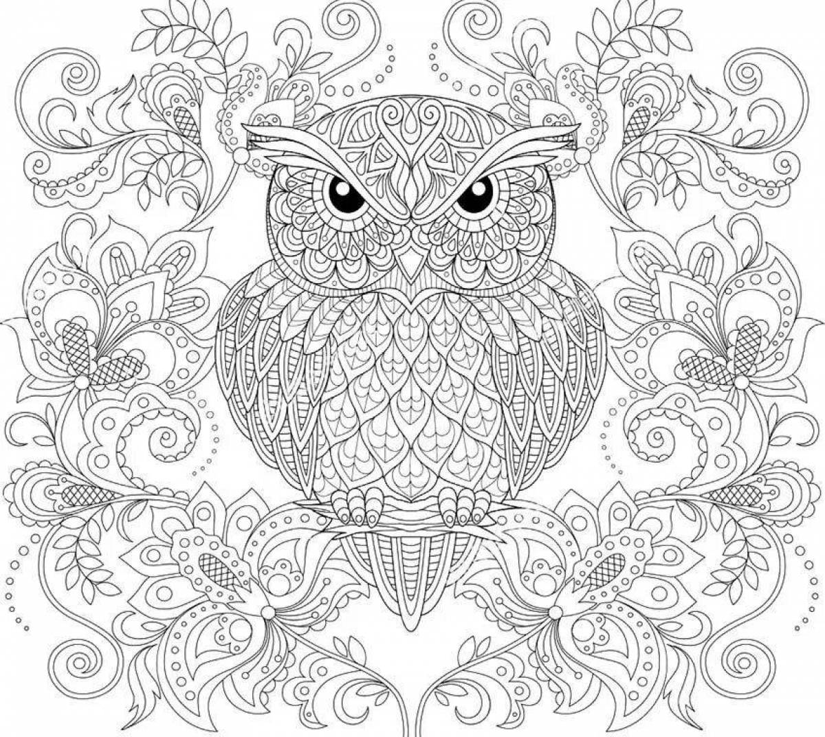 Exquisite owl coloring by numbers