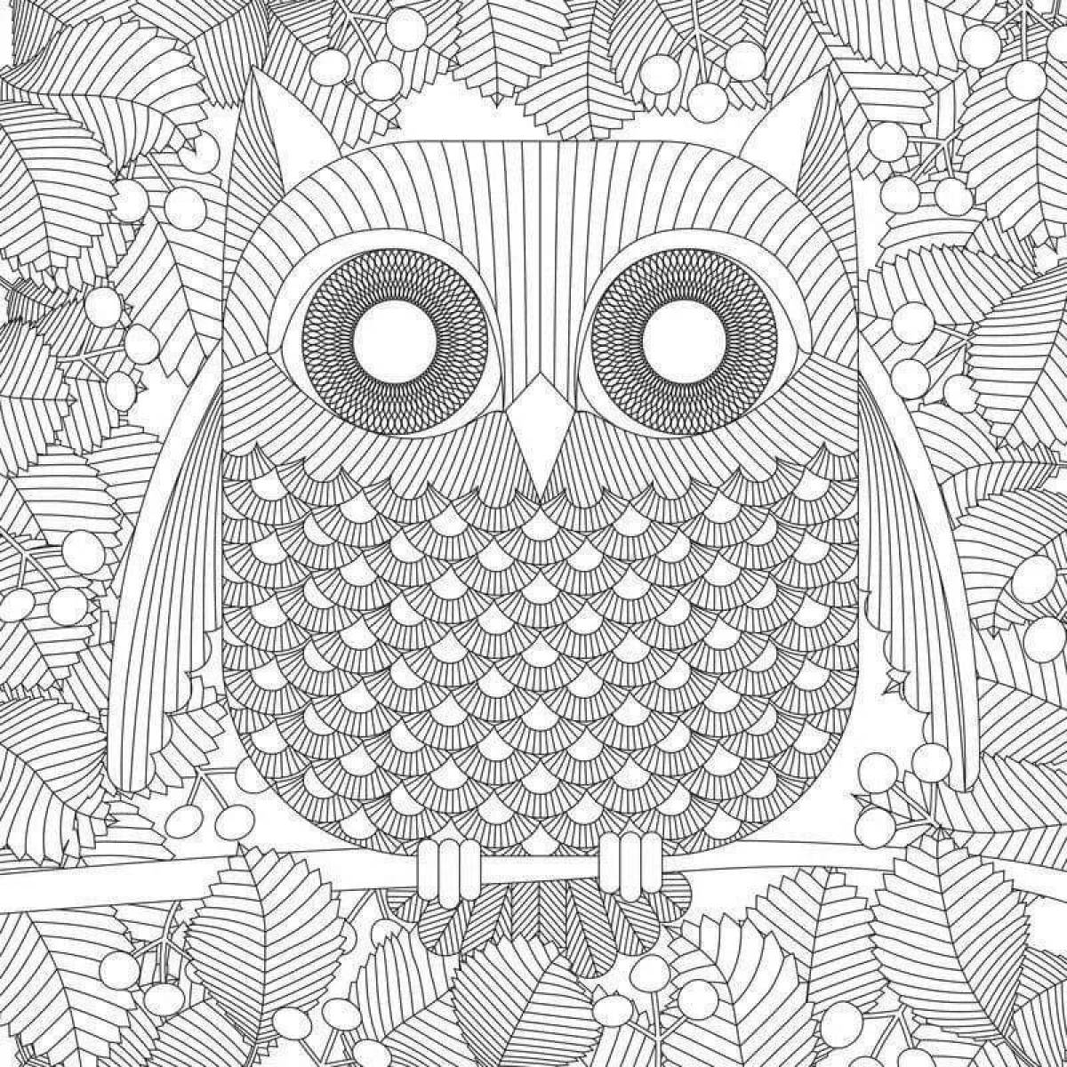 Fun coloring owl by numbers
