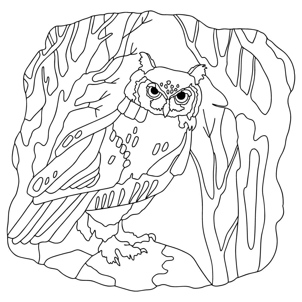 Playful owl coloring by numbers