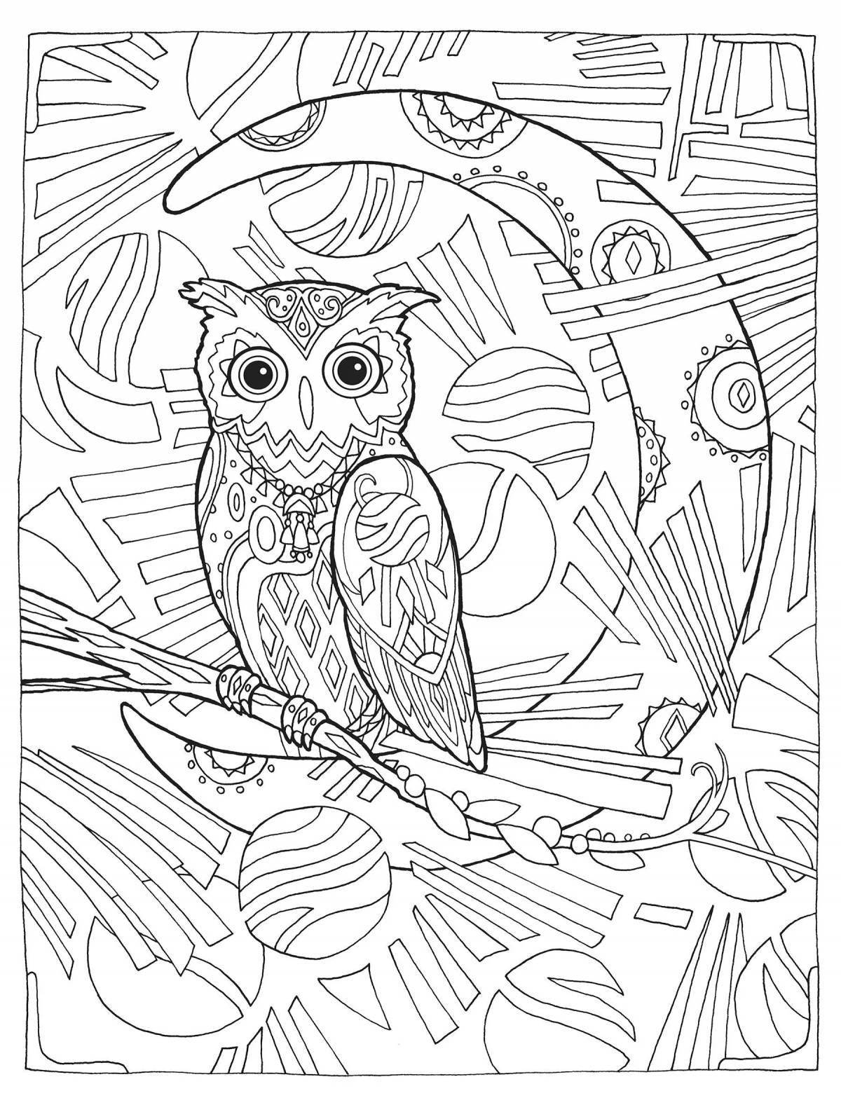 Live coloring owl by numbers
